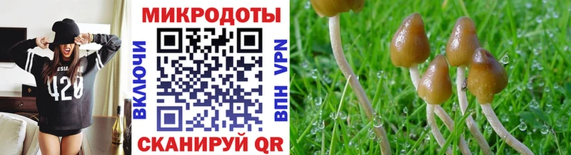 Галлюциногенные грибы Magic Shrooms  цены   Истра 